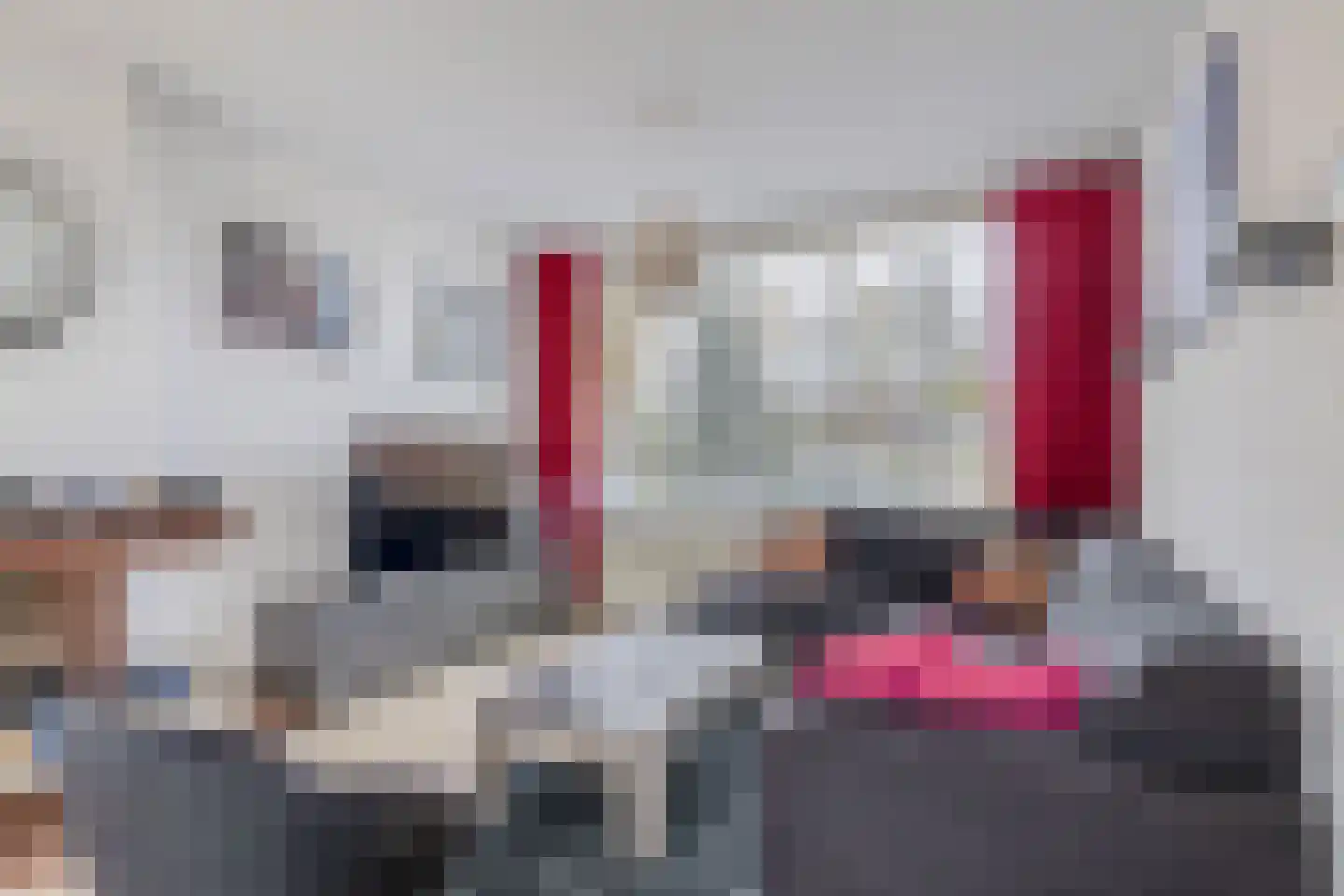 Schoutenlaan 33 Pijnacker thumbnail 4