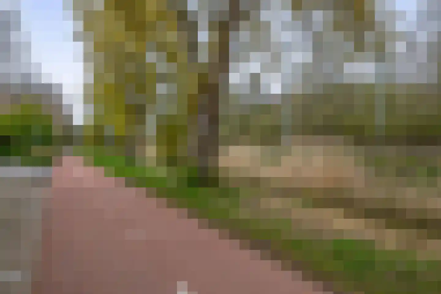 Schoutenlaan 33 Pijnacker thumbnail 40