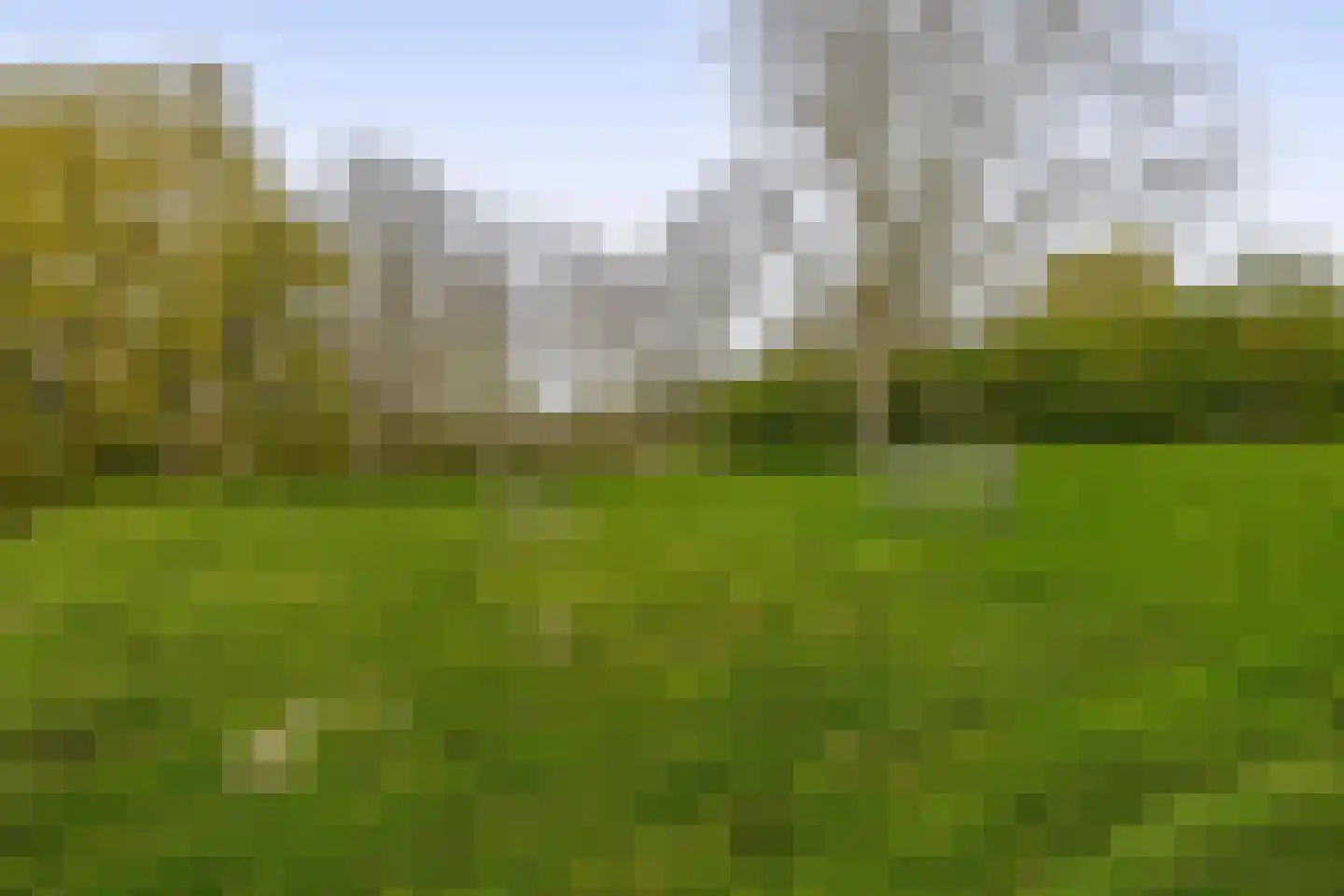Schoutenlaan 33 Pijnacker thumbnail 41