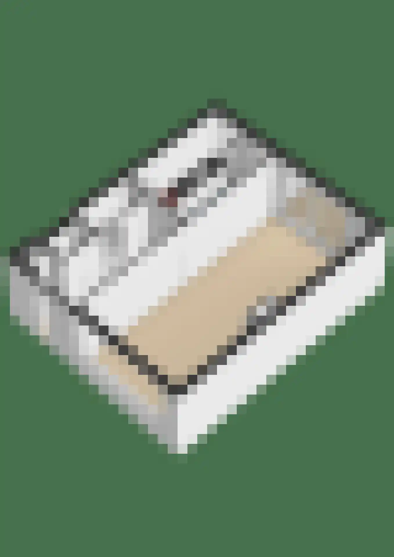Schoutenlaan 33 Pijnacker thumbnail 48
