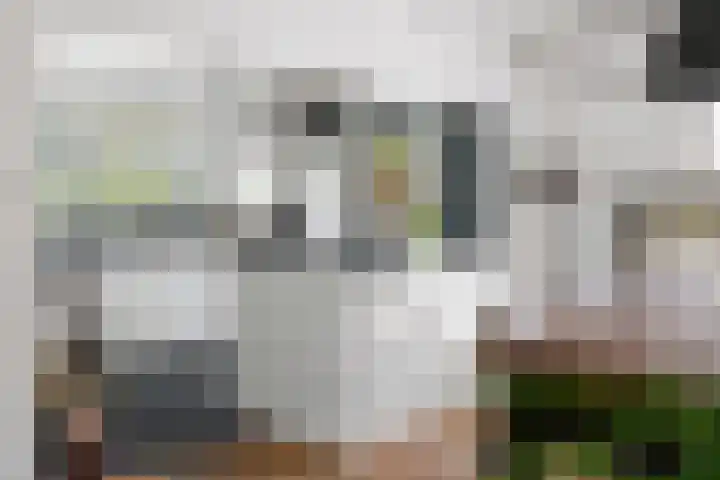Schoutenlaan 48 Bavel thumbnail 13