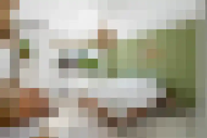Schoutenlaan 48 Bavel thumbnail 26