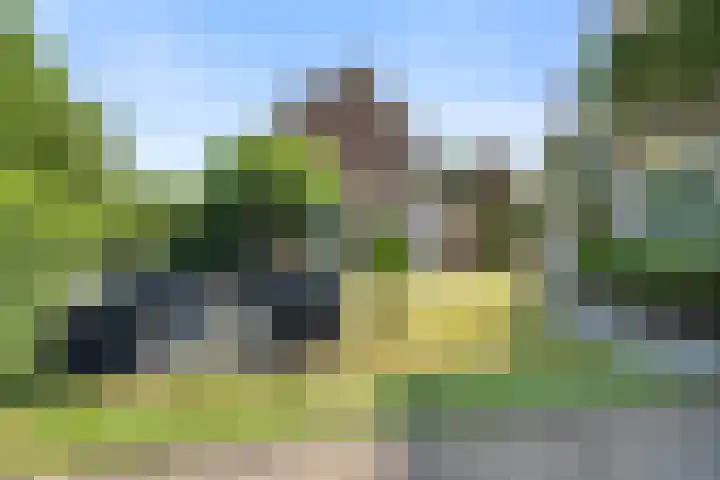 Schoutenlaan 48 Bavel thumbnail 39