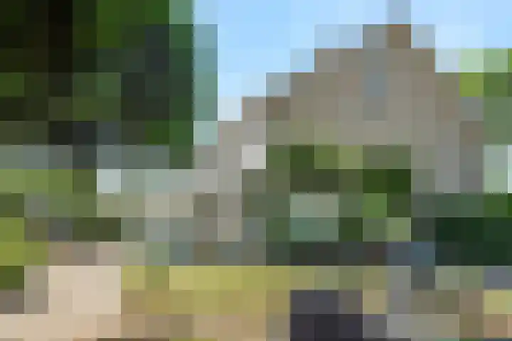 Schoutenlaan 48 Bavel thumbnail 4