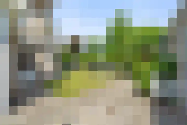 Schoutenlaan 48 Bavel thumbnail 40
