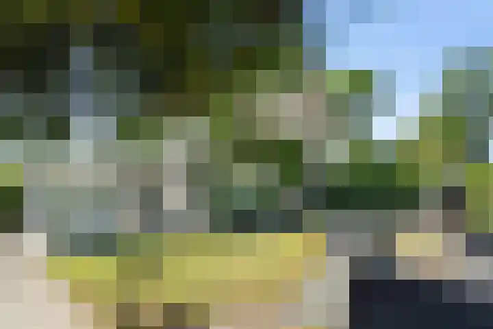 Schoutenlaan 48 Bavel thumbnail 42