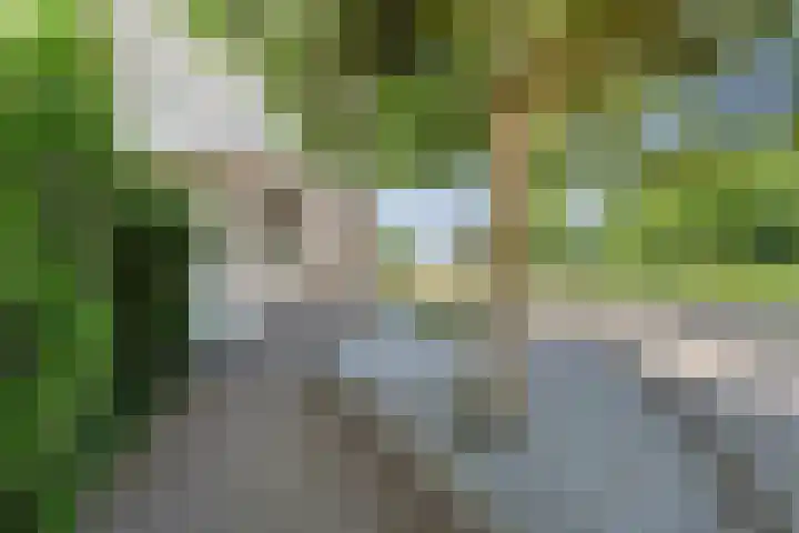 Schoutenlaan 48 Bavel thumbnail 43