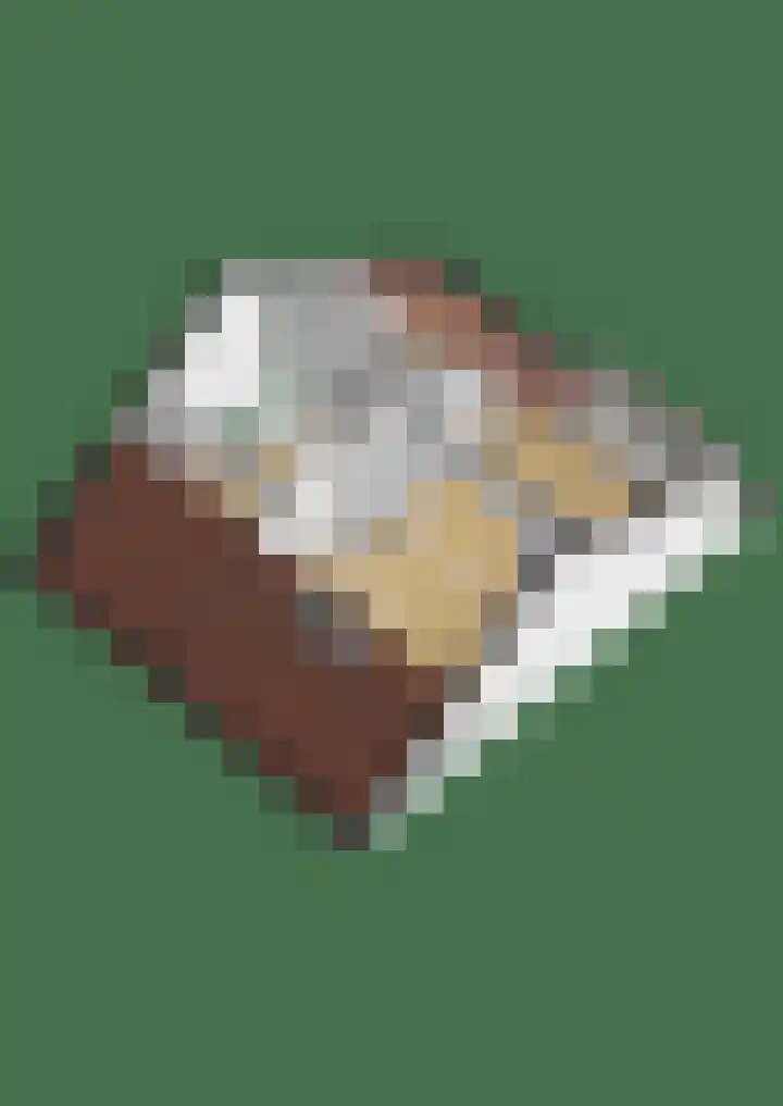 Schoutenlaan 48 Bavel thumbnail 59