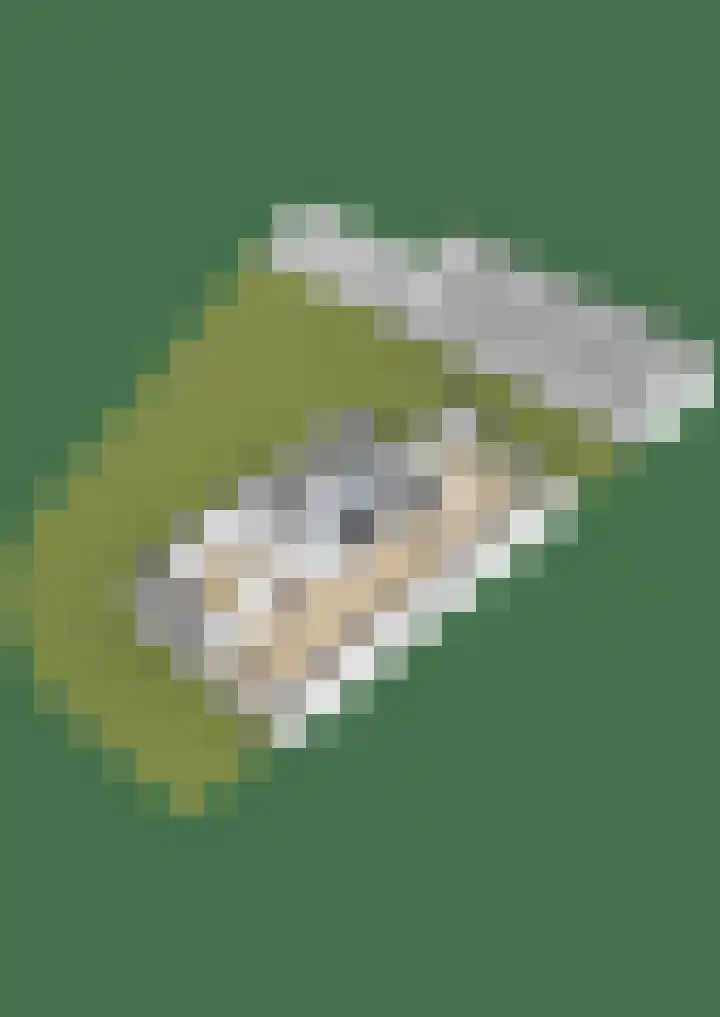 Schoutenlaan 48 Bavel thumbnail 61