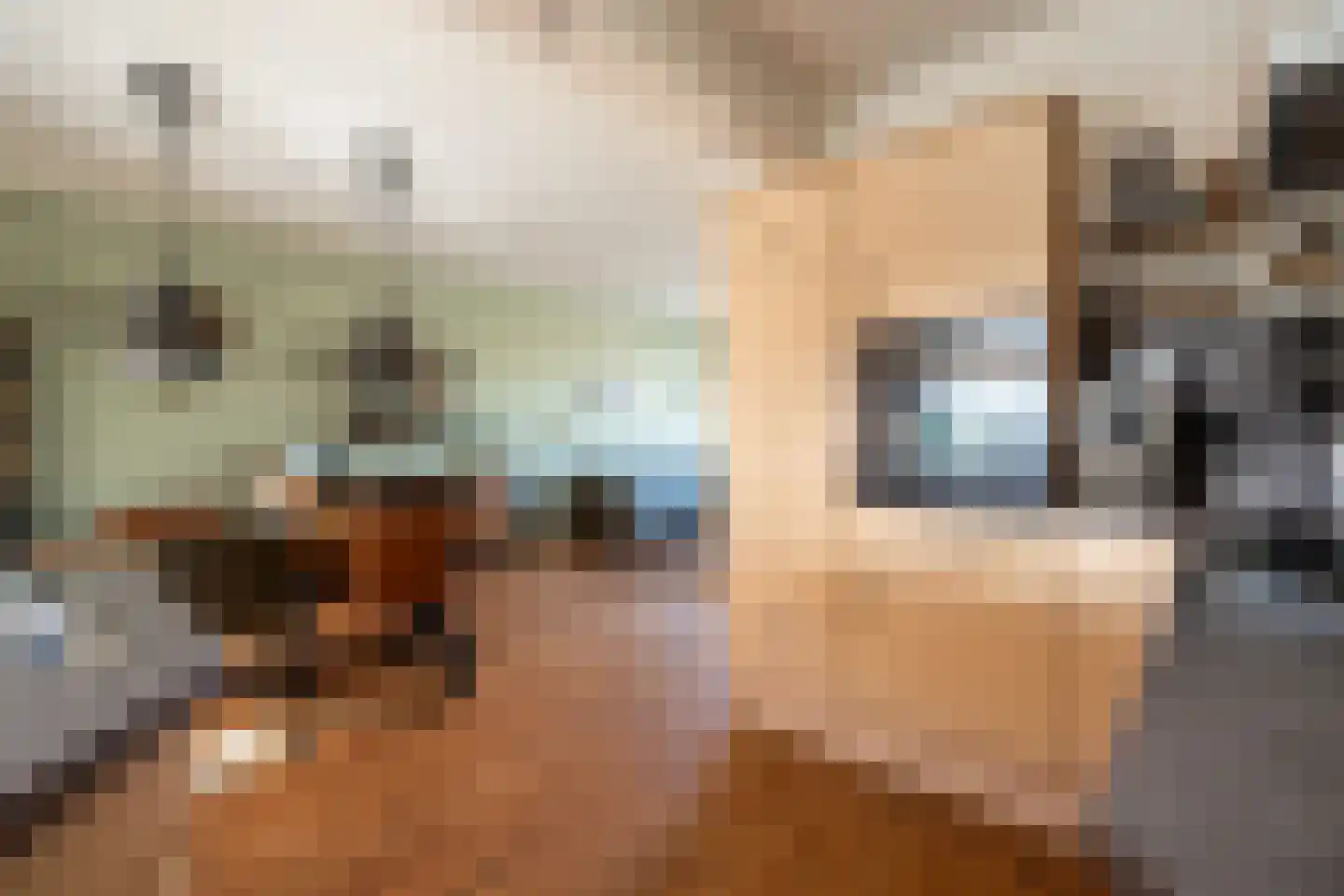 Schoutenlaan 8 Stadskanaal thumbnail 11