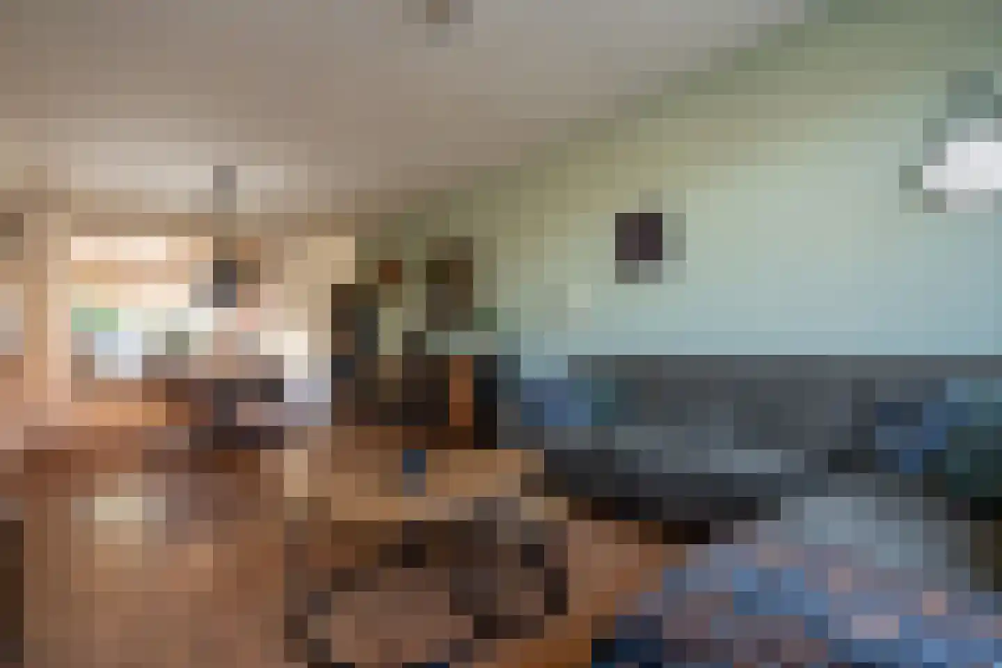 Schoutenlaan 8 Stadskanaal thumbnail 5