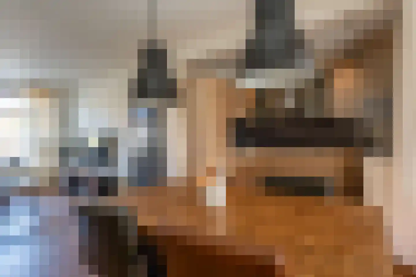 Schoutenlaan 8 Stadskanaal thumbnail 9