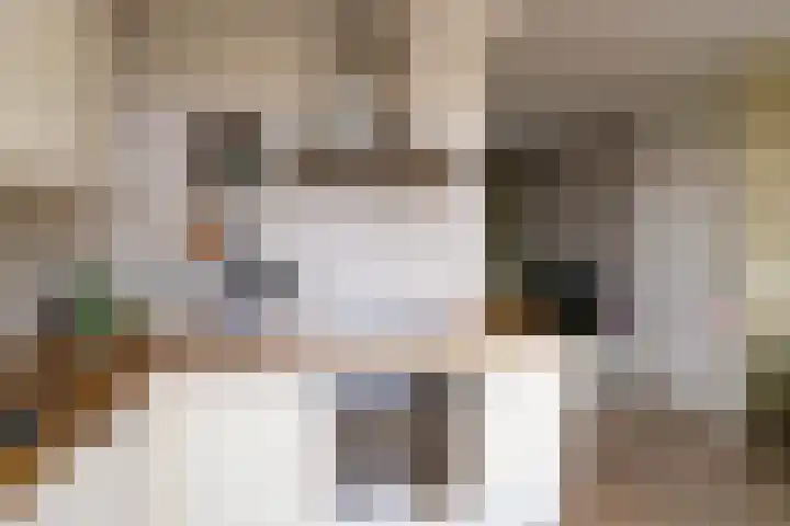 Schoutenlaan 83 Geertruidenberg thumbnail 10