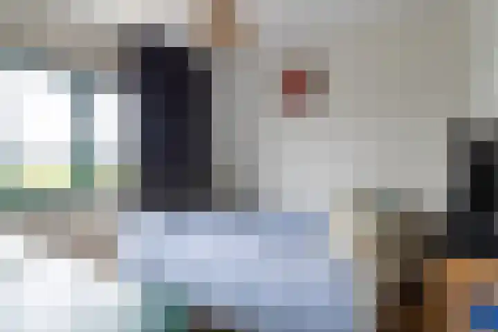 Schoutenlaan 83 Geertruidenberg thumbnail 16