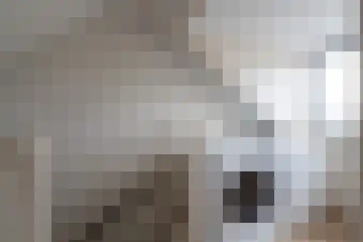 Schoutenlaan 83 Geertruidenberg thumbnail 22