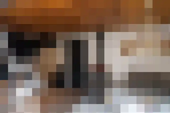 Schoutenlaan 83 Geertruidenberg thumbnail 26