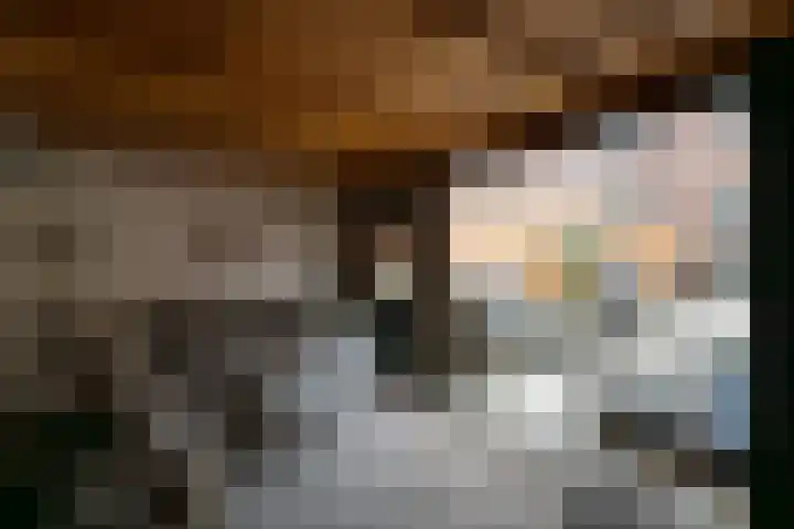 Schoutenlaan 83 Geertruidenberg thumbnail 27