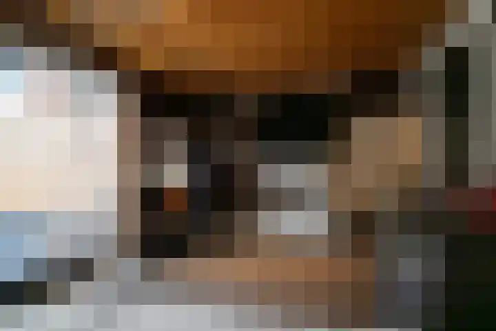 Schoutenlaan 83 Geertruidenberg thumbnail 28