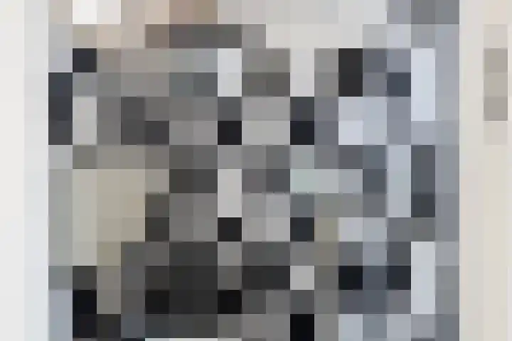 Schoutenlaan 83 Geertruidenberg thumbnail 5