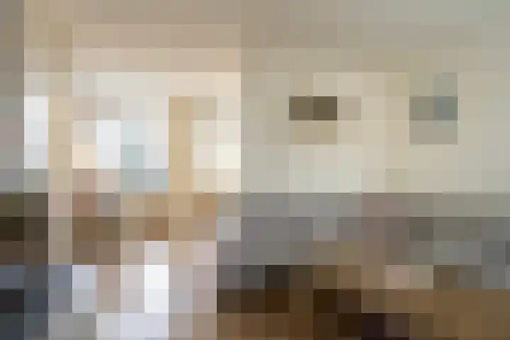 Schoutenlaan 83 Geertruidenberg thumbnail 6