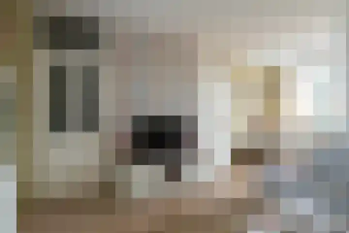 Schoutenlaan 83 Geertruidenberg thumbnail 7