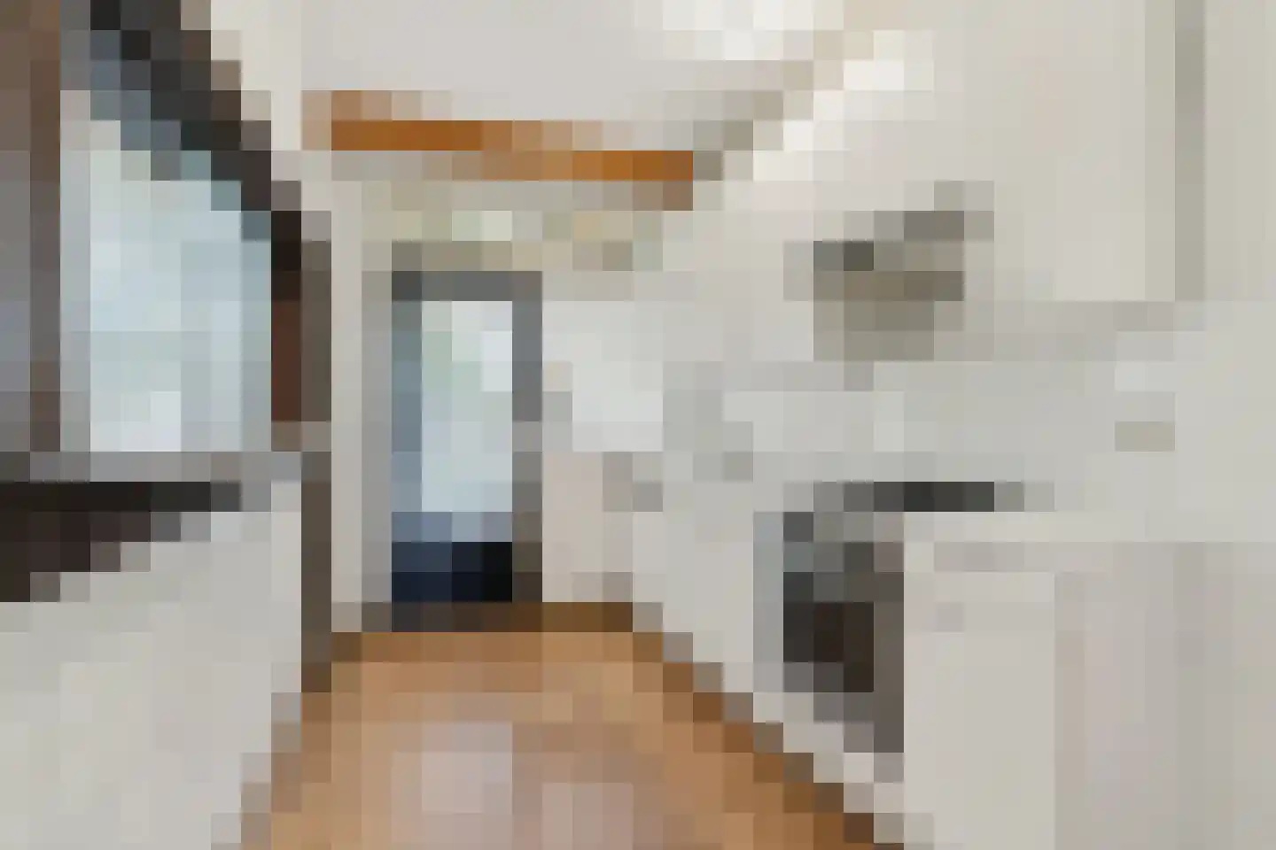 Schoutenstraat 1 Veghel thumbnail 14
