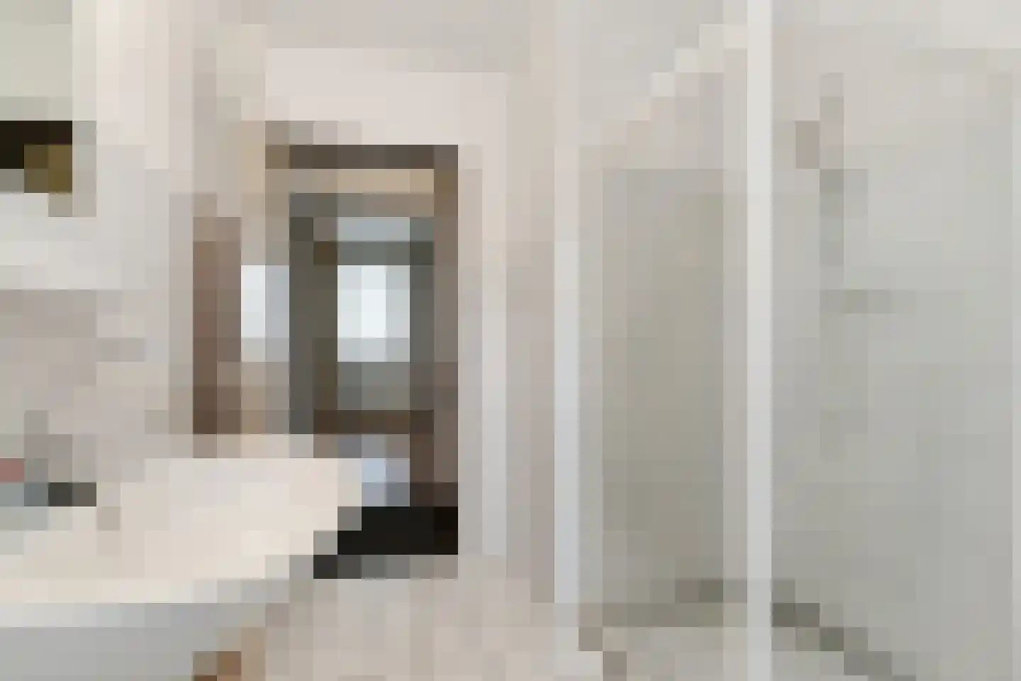 Schoutenstraat 1 Veghel thumbnail 27