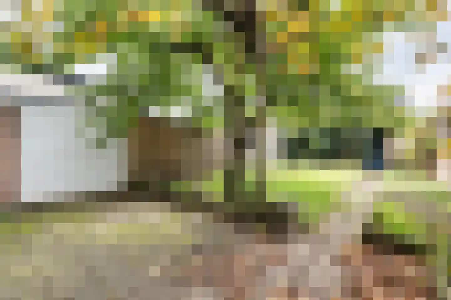 Schoutenstraat 1 Veghel thumbnail 31