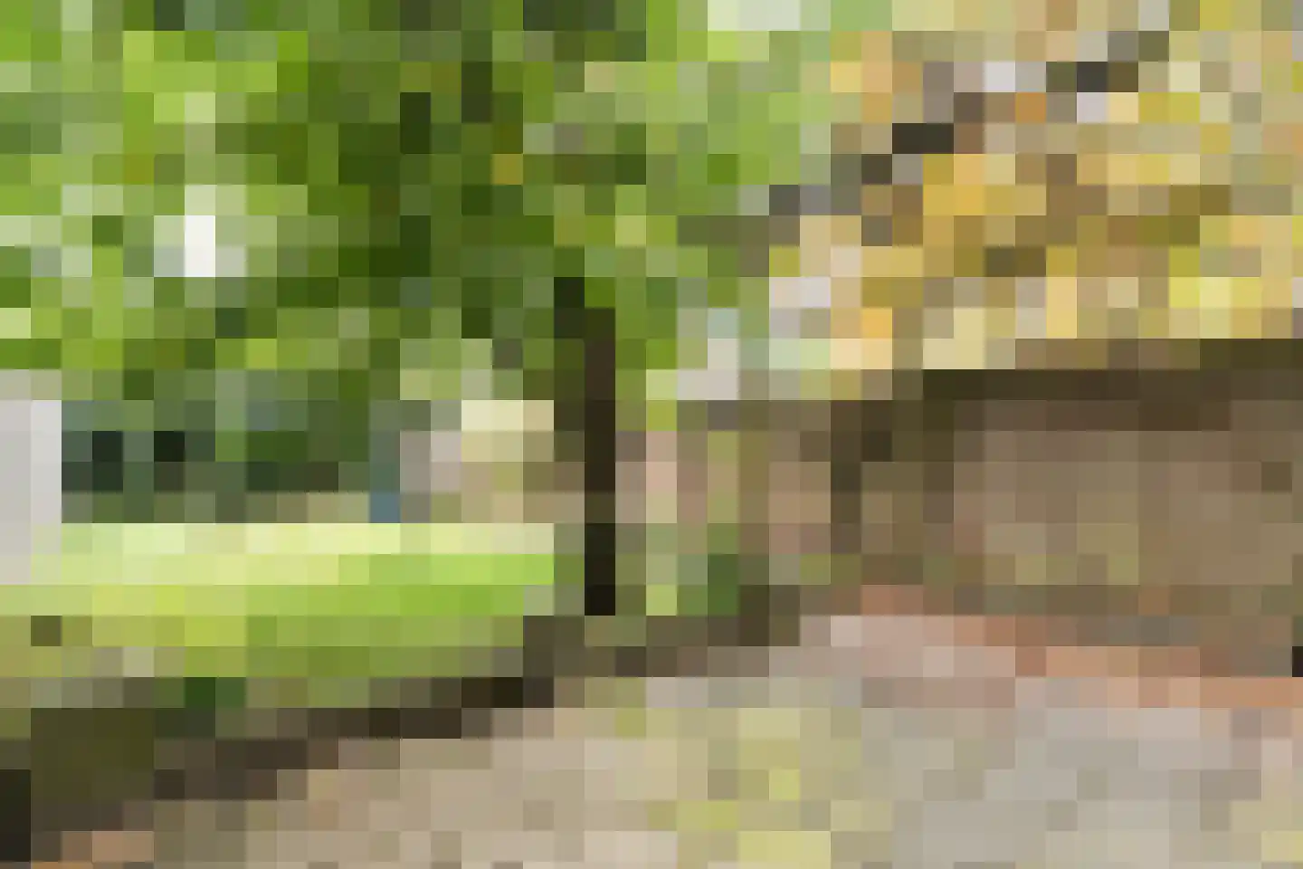 Schoutenstraat 1 Veghel thumbnail 32
