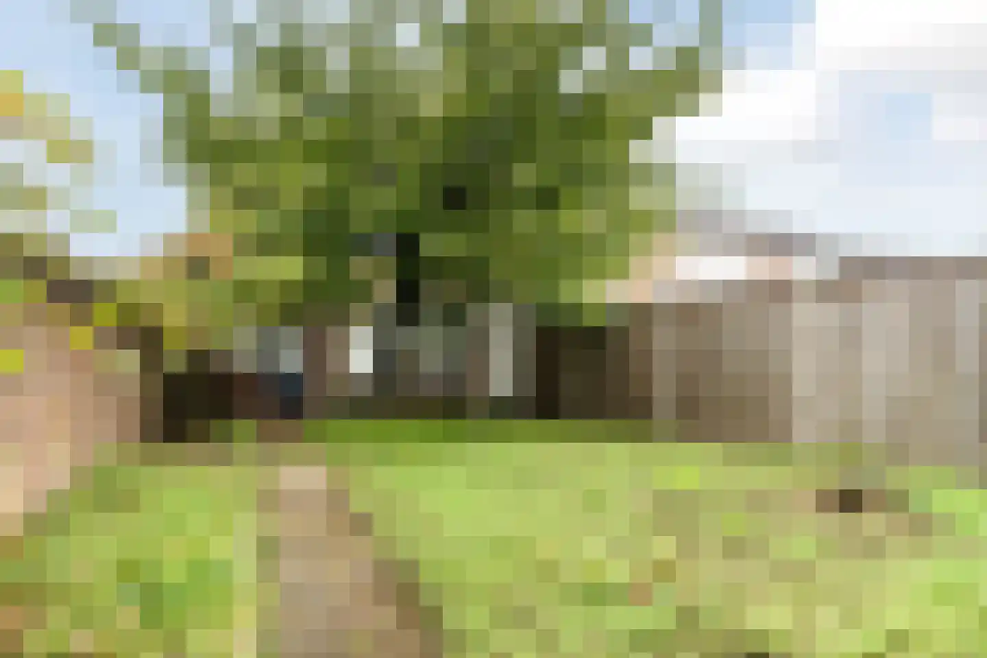 Schoutenstraat 1 Veghel thumbnail 34