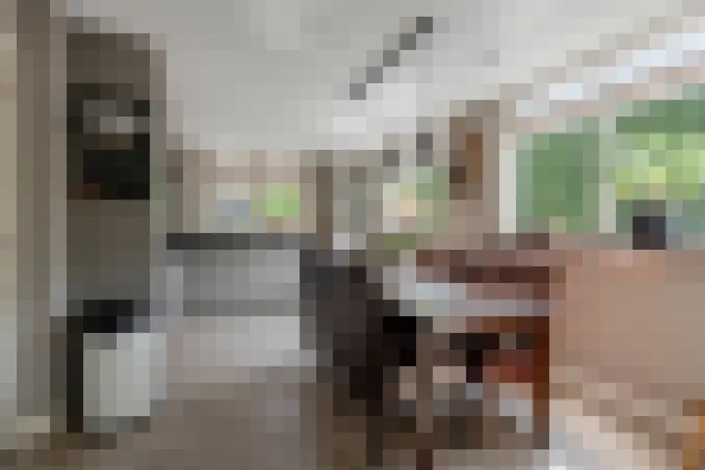 Schoutenstraat 100 Barneveld thumbnail 12
