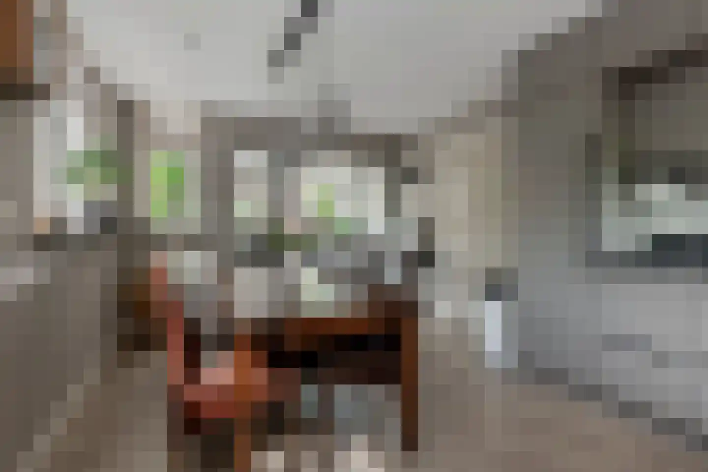 Schoutenstraat 100 Barneveld thumbnail 18
