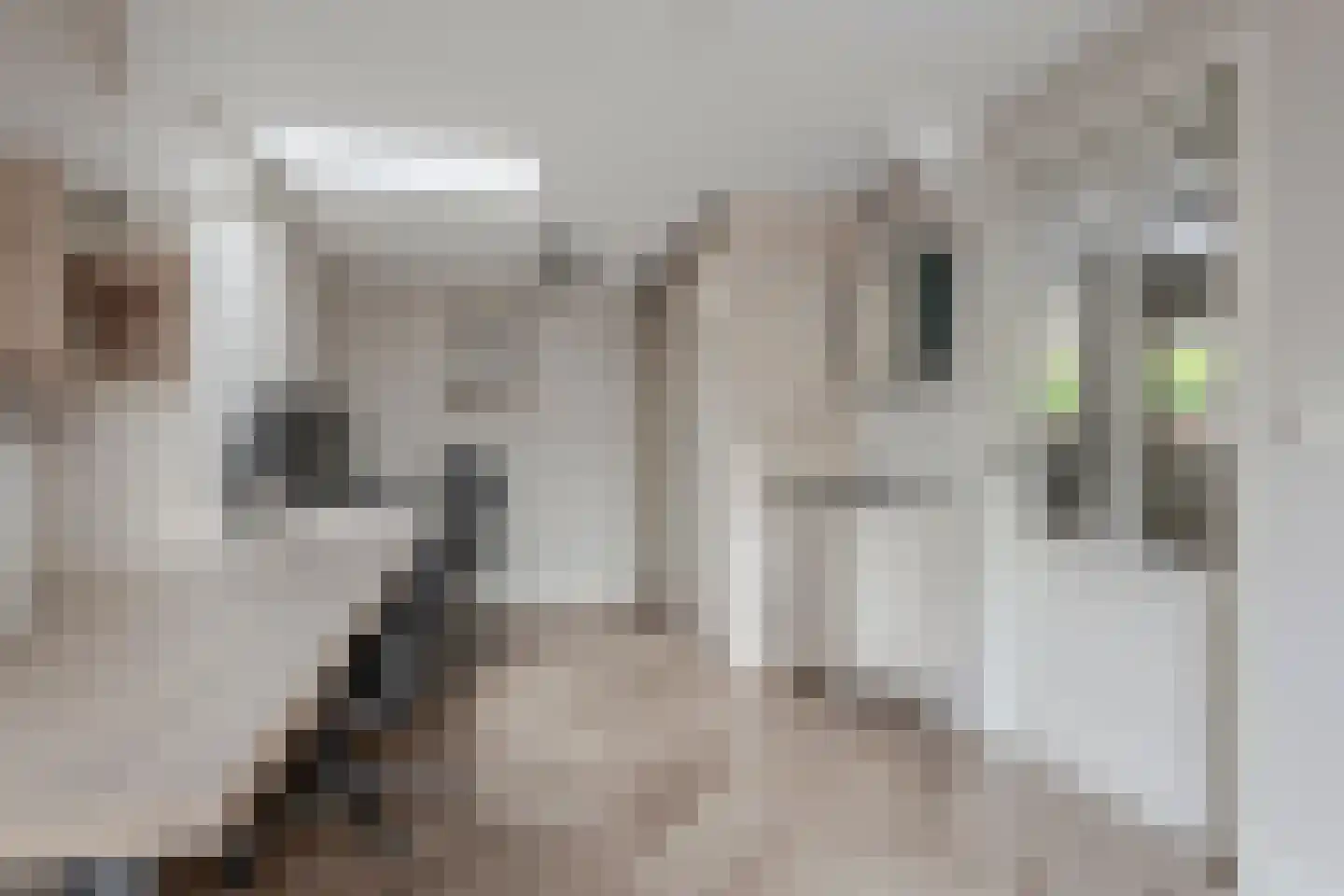 Schoutenstraat 100 Barneveld thumbnail 25