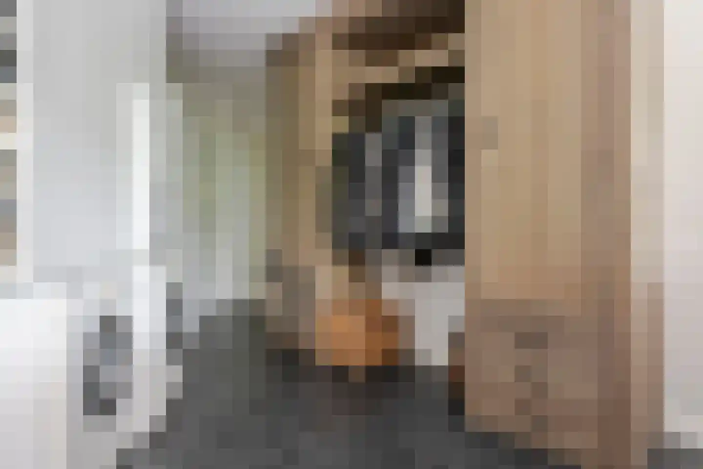 Schoutenstraat 100 Barneveld thumbnail 27