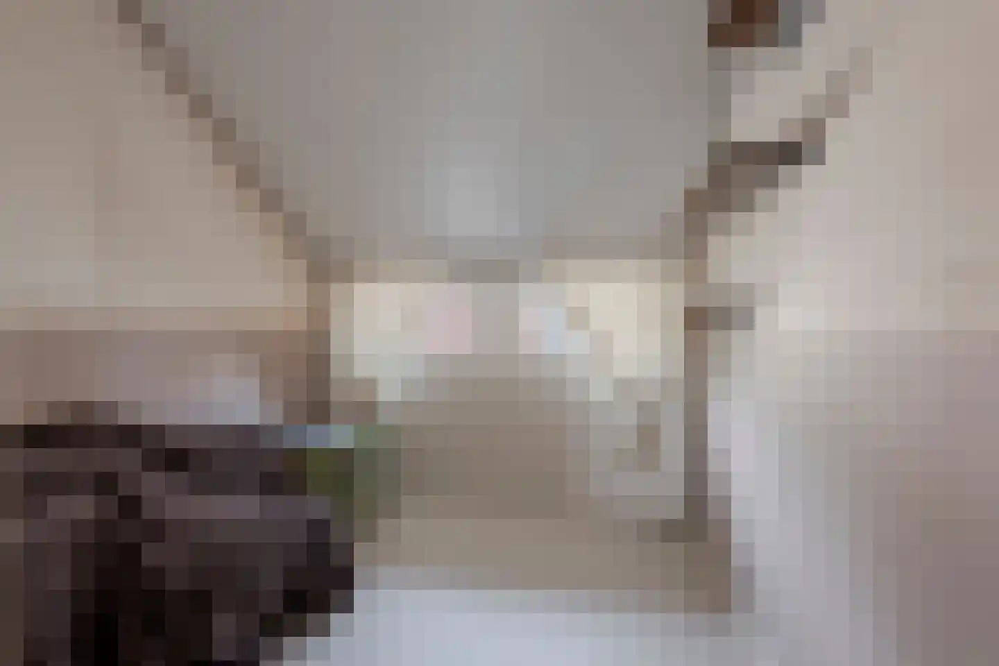 Schoutenstraat 100 Barneveld thumbnail 35