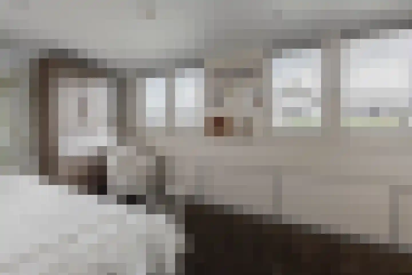 Schoutenstraat 100 Barneveld thumbnail 40