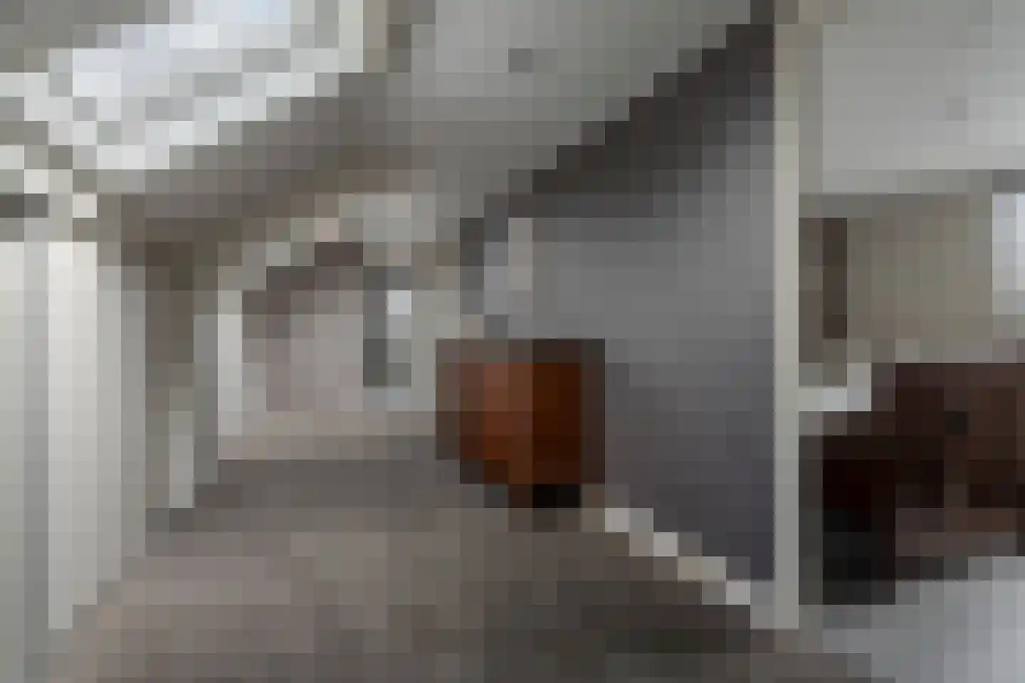 Schoutenstraat 100 Barneveld thumbnail 44