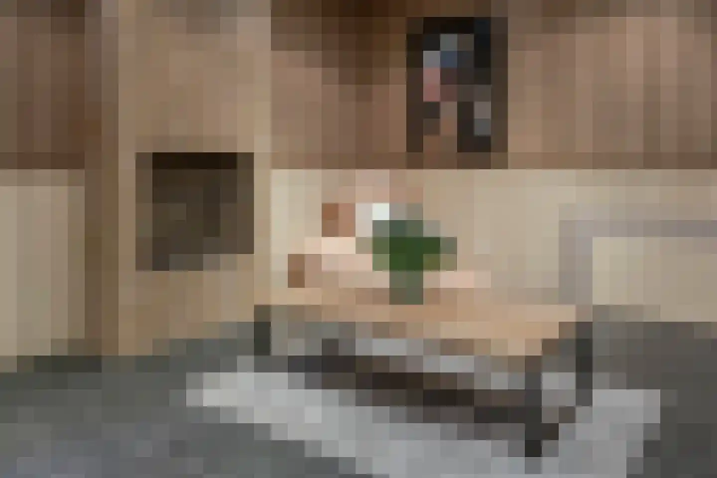 Schoutenstraat 100 Barneveld thumbnail 54