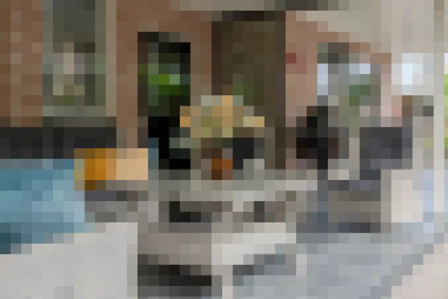 Schoutenstraat 100 Barneveld thumbnail 65