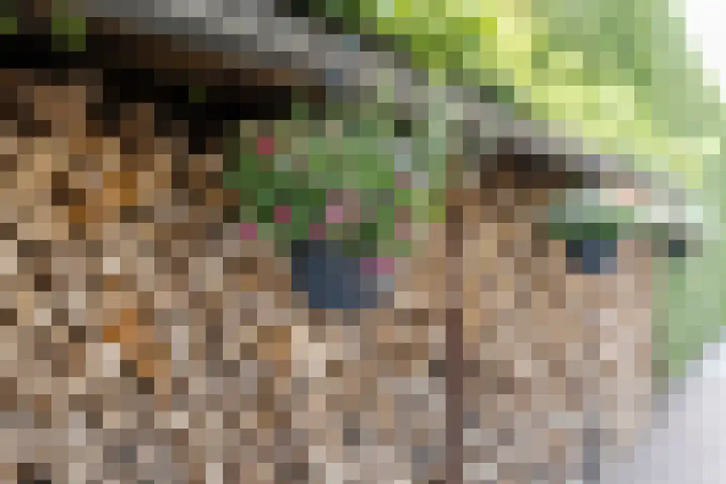 Schoutenstraat 100 Barneveld thumbnail 69