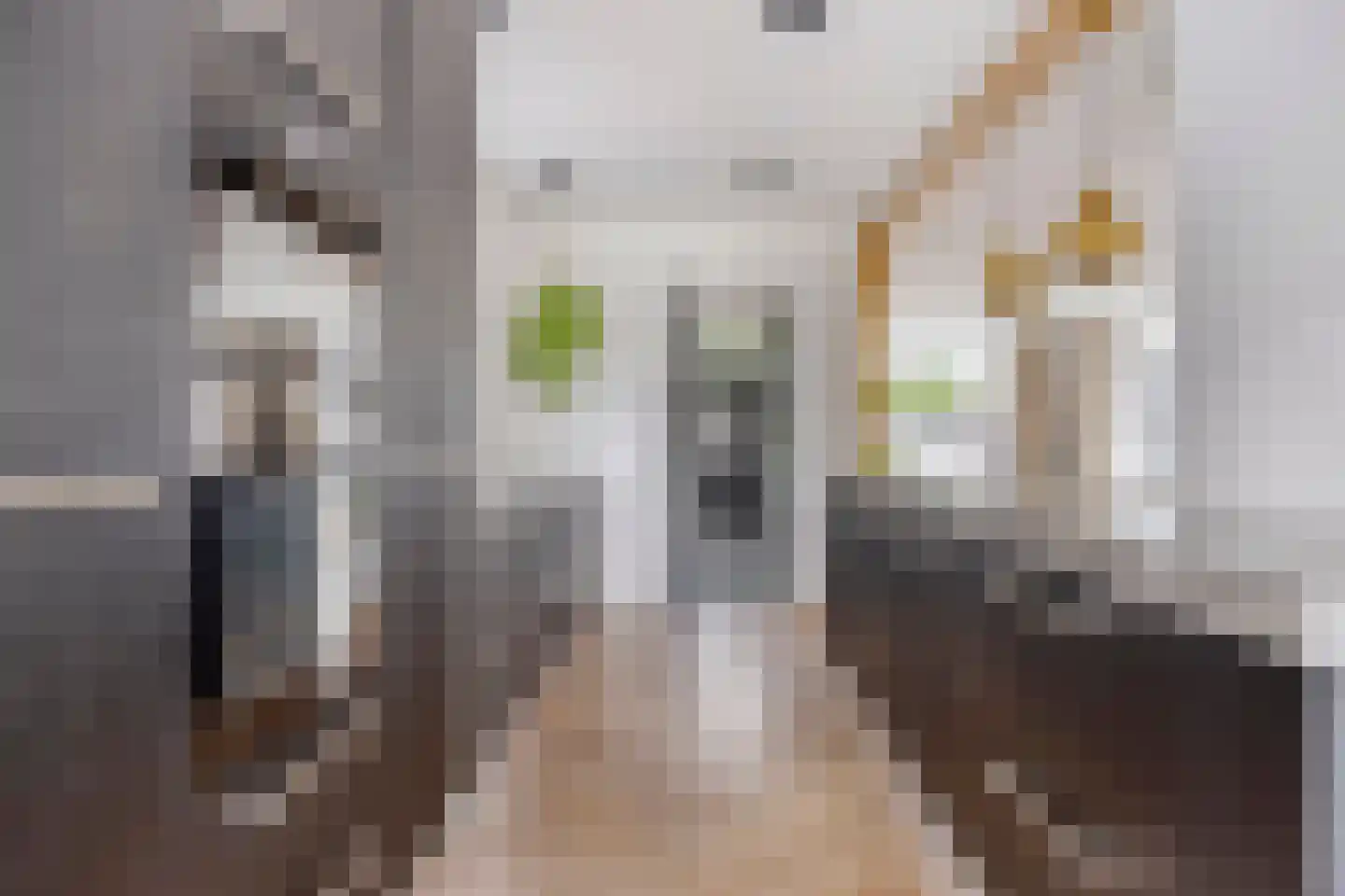 Schoutenstraat 11 Barneveld thumbnail 17