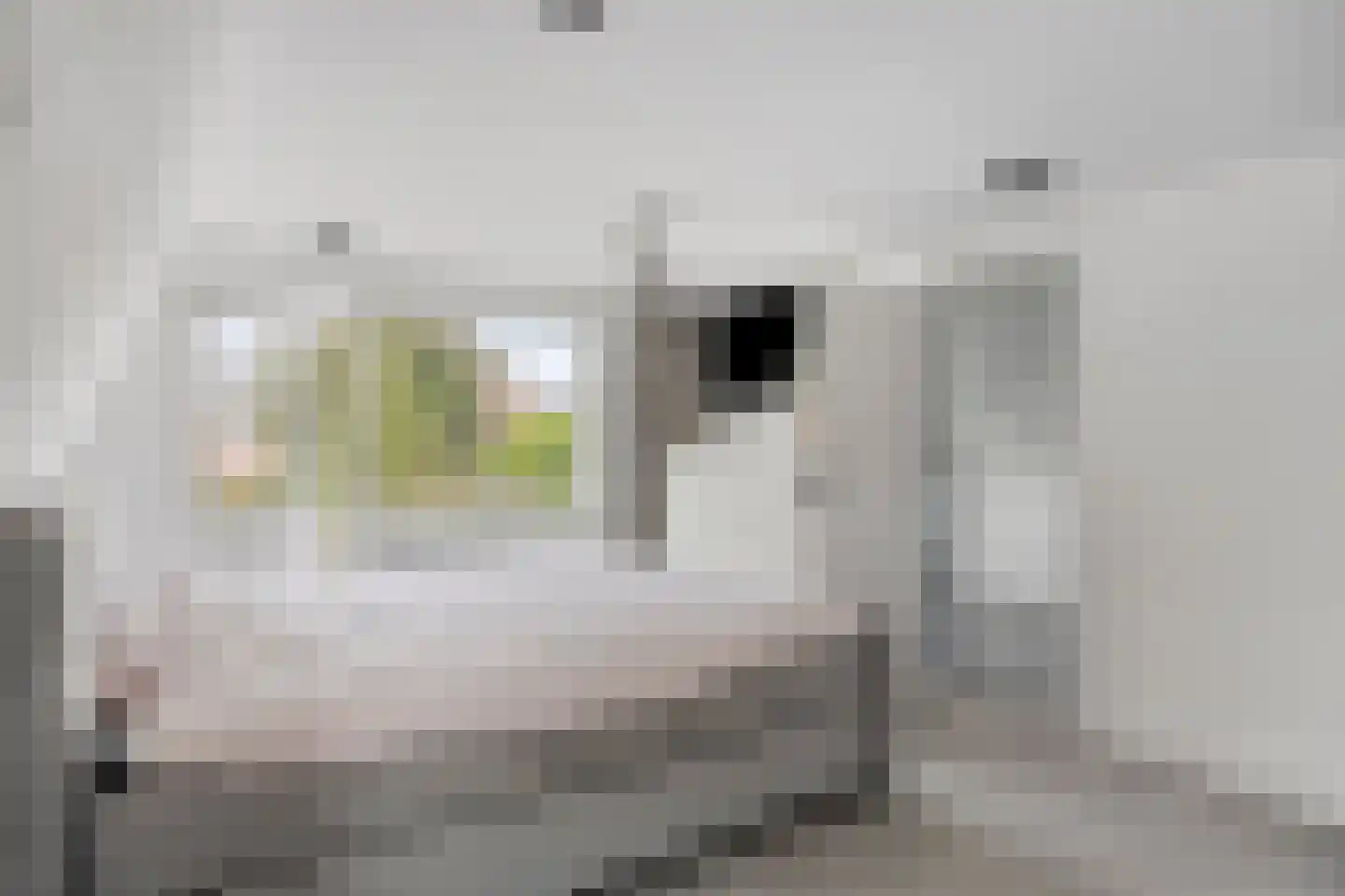 Schoutenstraat 11 Barneveld thumbnail 22