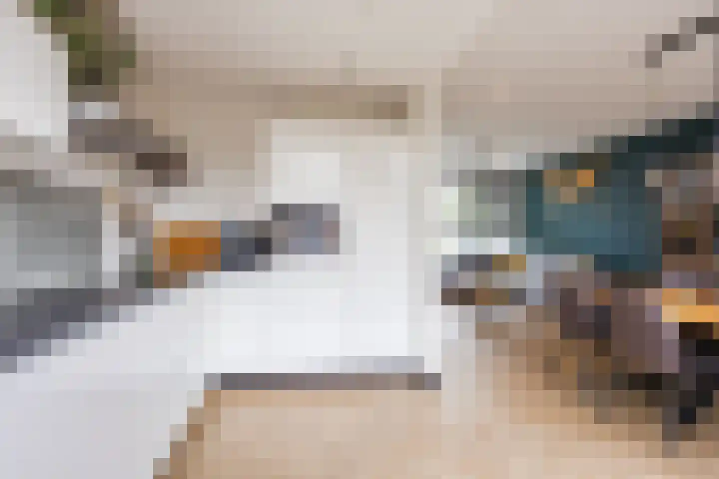 Schoutenstraat 12 Veghel thumbnail 18