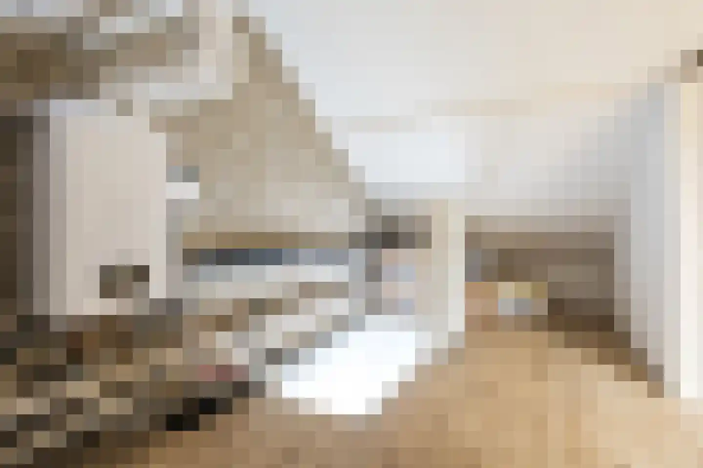 Schoutenstraat 12 Veghel thumbnail 36