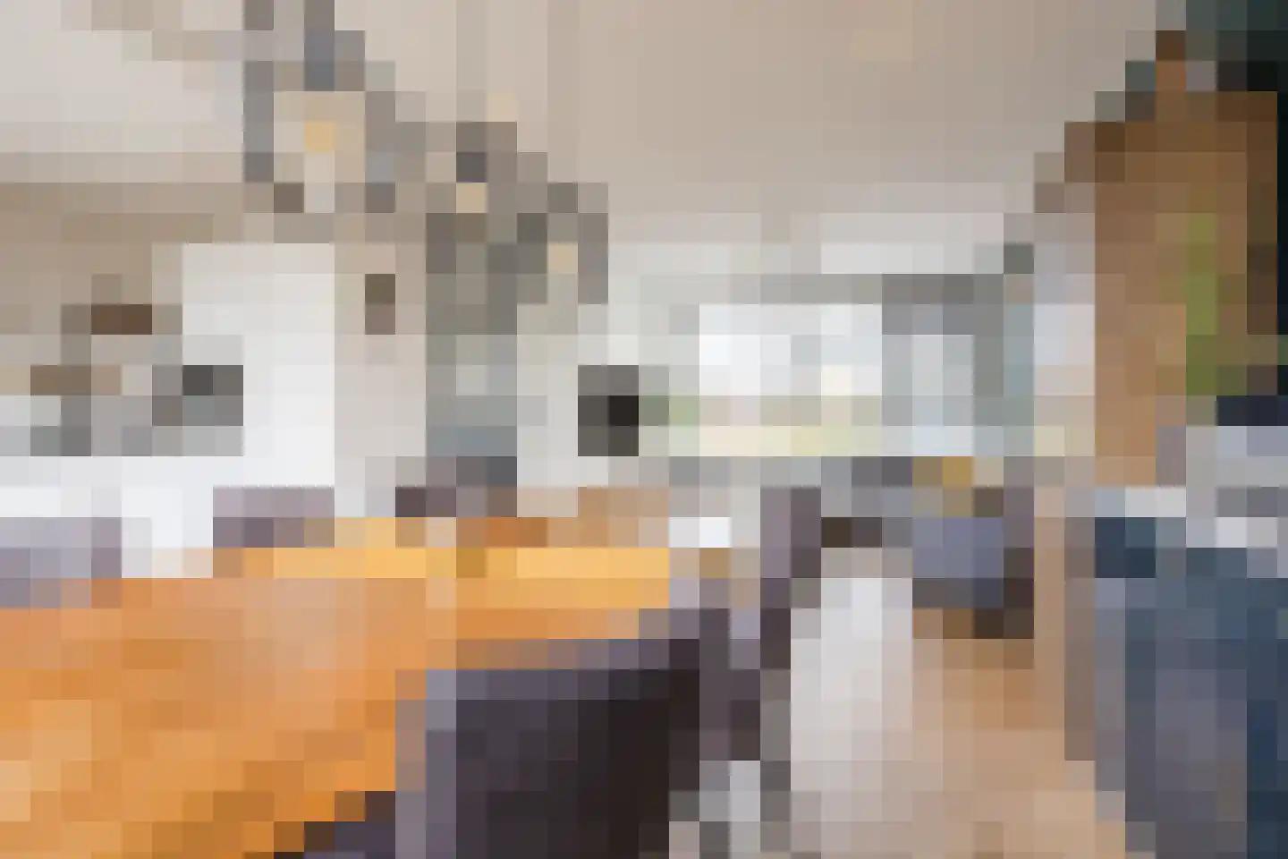 Schoutenstraat 12 Veghel thumbnail 5