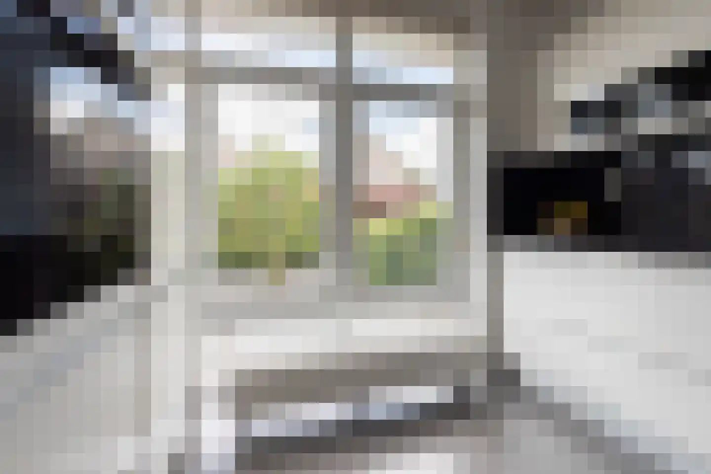 Schoutenstraat 120 Barneveld thumbnail 21