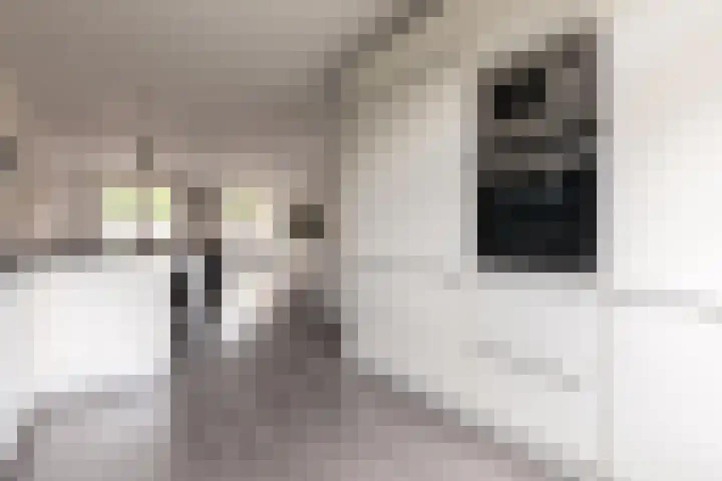 Schoutenstraat 120 Barneveld thumbnail 22