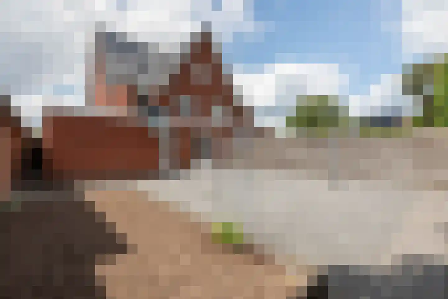 Schoutenstraat 120 Barneveld thumbnail 4