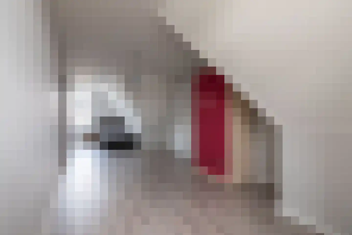 Schoutenstraat 120 Barneveld thumbnail 40