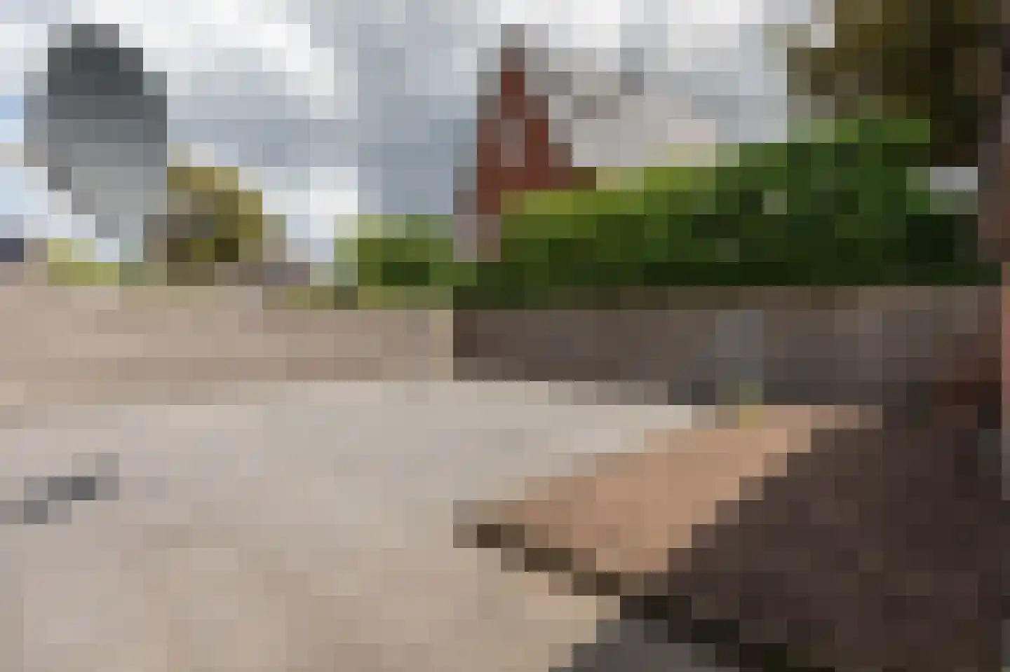 Schoutenstraat 120 Barneveld thumbnail 48